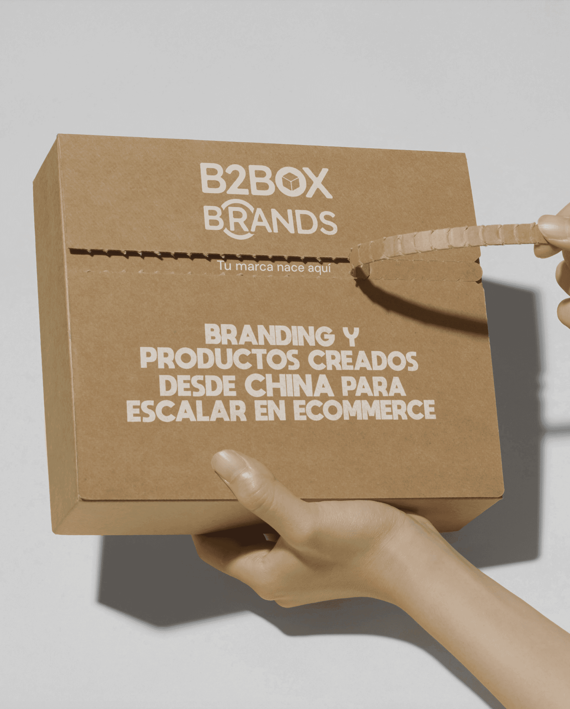 Mockup de packaging de marca propia B2BOX Brands, fabricado en China